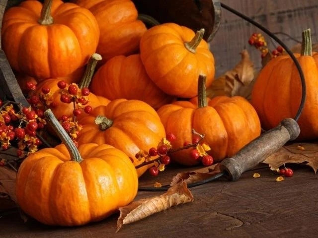 Pumpkin horn | Diamond embroidery kit - SKY SUPPLYIFY