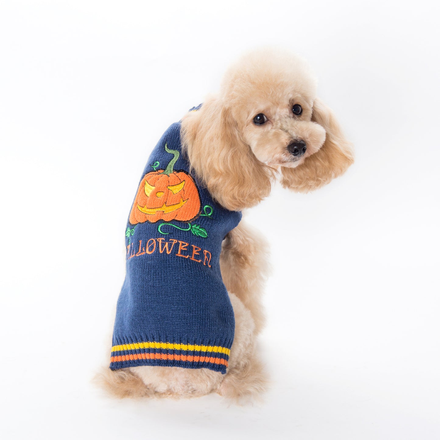 Pumpkin Sweater Dog Clothes Halloween - SKY SUPPLYIFY 