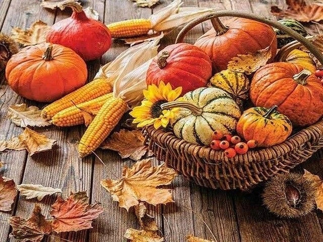 Pumpkin horn | Diamond embroidery kit - SKY SUPPLYIFY 